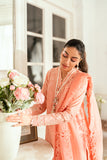 Qalamkar SB-12 Jafa Online Shopping