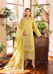 Akbar Aslam Perle Online Shopping