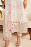 Xenia Reve Online Shopping