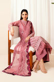 Xenia Lumen Online Shopping