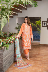 Addee Zamari SM-011  Online Shopping