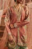 ethnic Embroidered Suit (E1242/104/423)