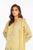 Alkaram Studio EC-09-24-Lemon-yellow Online Shopping