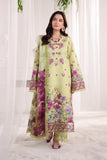 Elena Rang Rasiya Brand Original Fabrics