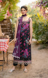 Asifa N Nabeel Pale Rose (GKL-01) Online Shopping