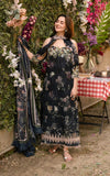 Asifa N Nabeel Meadow Breeze (GKL-02) Online Shopping