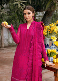 Gulaal Zevira Online Shopping