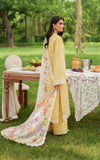 Asifa N Nabeel Golden Dust ECU25-10 Online Shopping