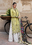 Hussain Rehar Suk Online Shopping
