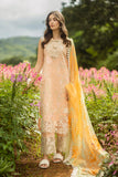 Mushq Moonlit Petals Online Shopping