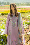 Mushq Pixies Blossom Online Shopping