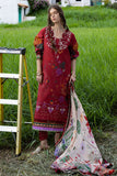Mushq Amber Bosque Online Shopping