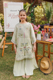 SS26DA-2904 MINT GREEN Dhanak Brand Original Fabrics