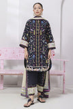 Qalamkar EM-09 (B) Paige Online Shopping