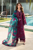 Leeza Rang Rasiya Brand Original Fabrics