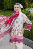 SD-62040 Gul Ahmed Brand Original Fabrics