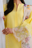 Zara Shahjahan Meadow-8A Online Shopping