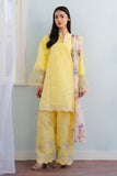 Zara Shahjahan Meadow-8A Online Shopping