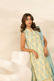 Alkaram MS-67-1-25-1-Yellow Online Shopping
