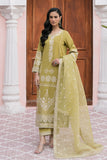 Maryum N Maria Arghavan - MS50150 Online Shopping