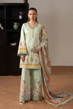 Yashasvi  - MSS6261 Maryum N Maria Brand Original Fabrics