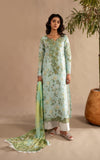 Asifa N Nabeel Mint Mosaic MSSL-12 Online Shopping