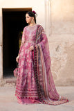 Xenia Formals Bano Online Shopping