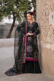 Xenia Naaz Online Shopping