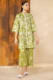 Motifz 5540-Zamda Online Shopping