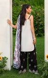 Asifa N Nabeel Pearl Whisper ECU25-04 Online Shopping