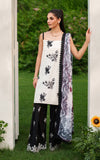 Asifa N Nabeel Pearl Whisper ECU25-04 Online Shopping