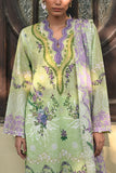 CL-62277 Gul Ahmed Brand Original Fabrics