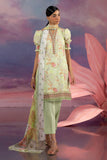CBN-62036 Gul Ahmed Brand Original Fabrics