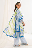 CLP-52143 Gul Ahmed Brand Original Fabrics