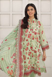 CLP-62001 Gul Ahmed Brand Original Fabrics