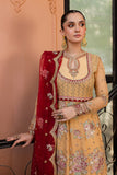Roheenaz Aylin Online Shopping