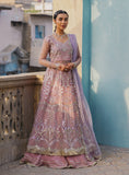 Roheenaz Amyra Online Shopping