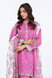 Alkaram SS-10.1-24-2-Pink Online Shopping