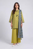 nishat nisha26wv1