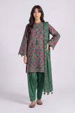 nishat nisha26wv1
