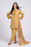 nishat nisha26wv1