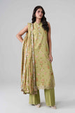 nishat nisha26wv1