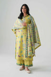 nishat nisha26wv1