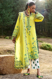 Zaha  Elaya (ZL25-10 B) Online Shopping
