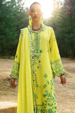 Zaha  Elaya (ZL25-10 B) Online Shopping