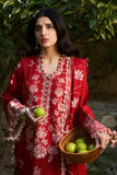 Zaha Dilara (ZW24-02) Online Shopping