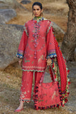 Elan Aurielle (EL25-06 B) Online Shopping