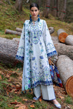 Zaha  Kashur (ZL25-11 A) Online Shopping