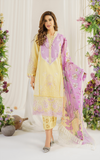 Asifa N Nabeel Versaila PP-10  Online Shopping