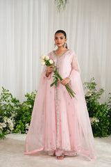 Agha Noor Arizonia Rose Online Shopping